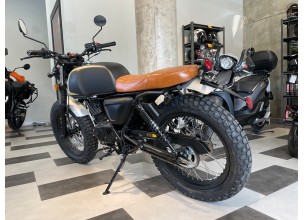 Mutt Akita Black Gold 125