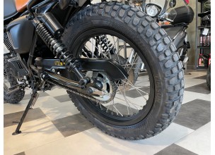 Mutt Akita Black Gold 125