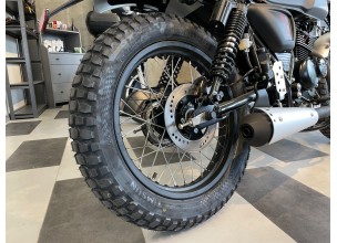 Mutt Akita Black Gold 125