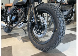 Mutt Akita Black Gold 125