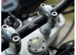 Triumph Speed Triple 955