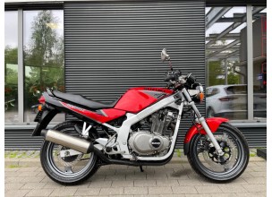 Suzuki GS500