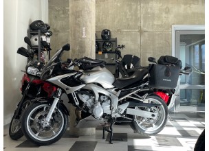 Yamaha Fz6S