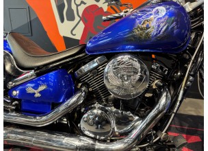 Kawasaki VN800 Classic