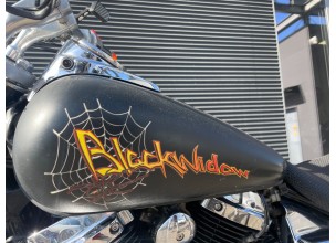 Honda BlackWidow VT750c